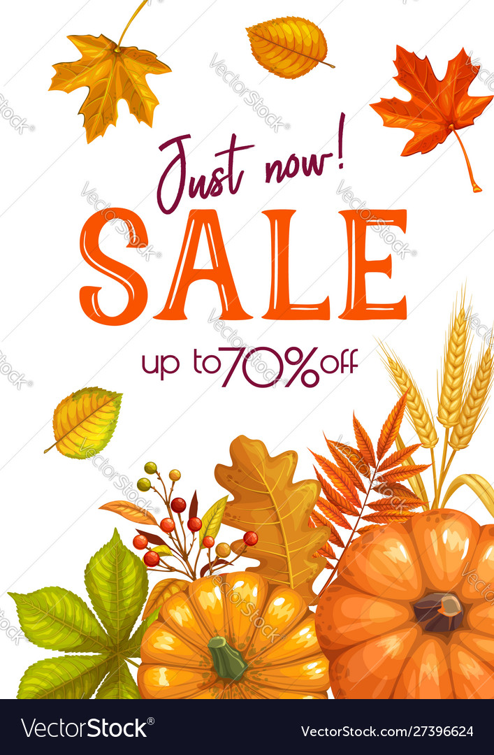 Seasonal autumn sale banner vector image Seasonal autumn sale banner