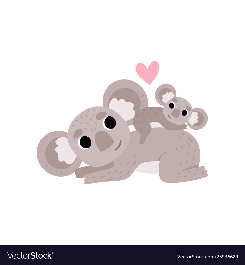 Cute mother koala bear and its baby funny grey Vector Image