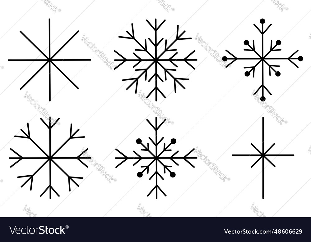 Set of different snowflakes winter design element