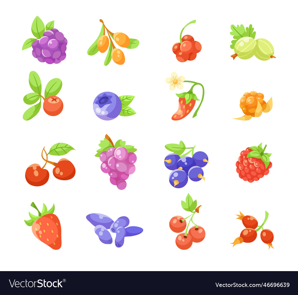 Different berries flat set Royalty Free Vector Image