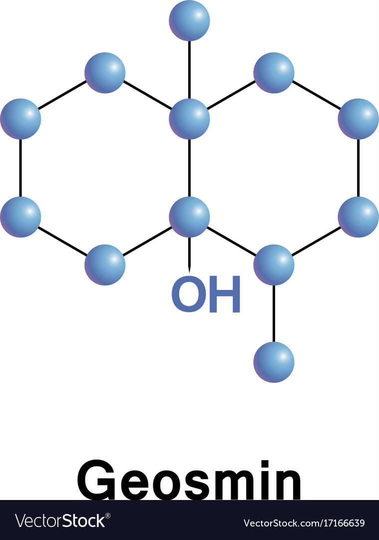 what is a organic compound