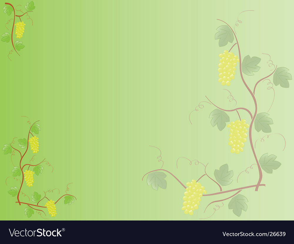 Grape
