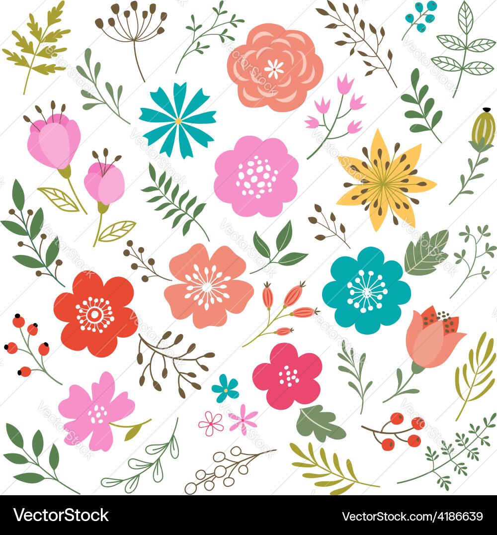 Set floral elements Royalty Free Vector Image - VectorStock