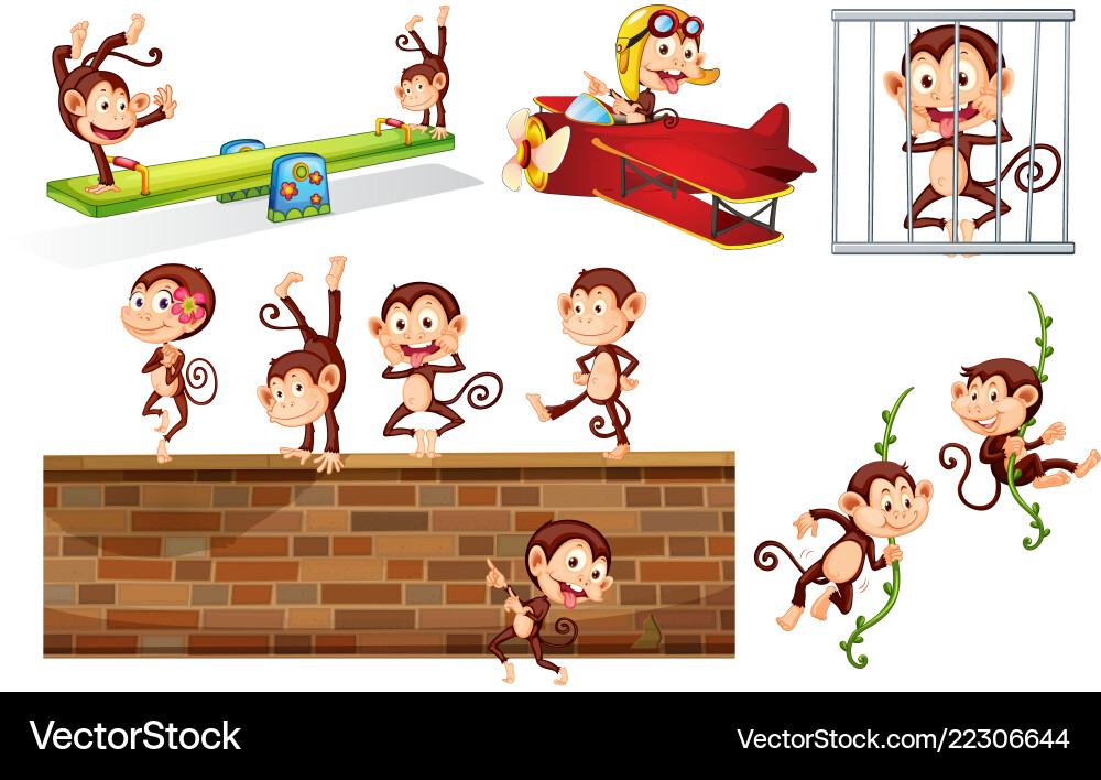 A set playful monkey Royalty Free Vector Image