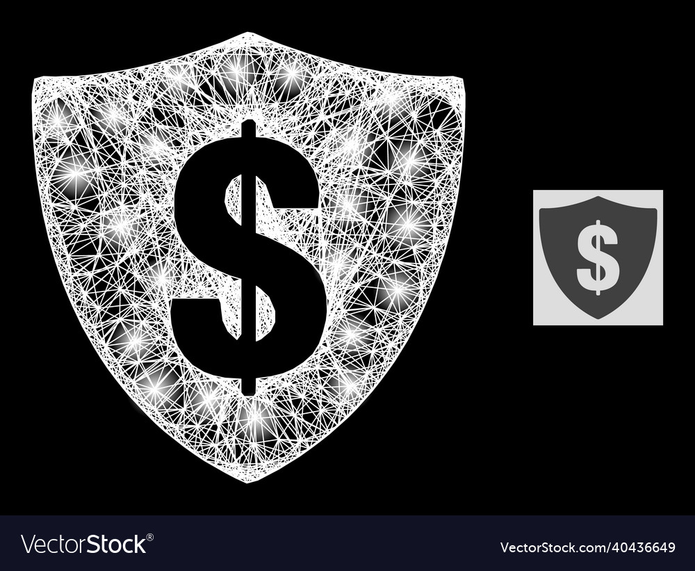 Constellation net mesh dollar shield with light