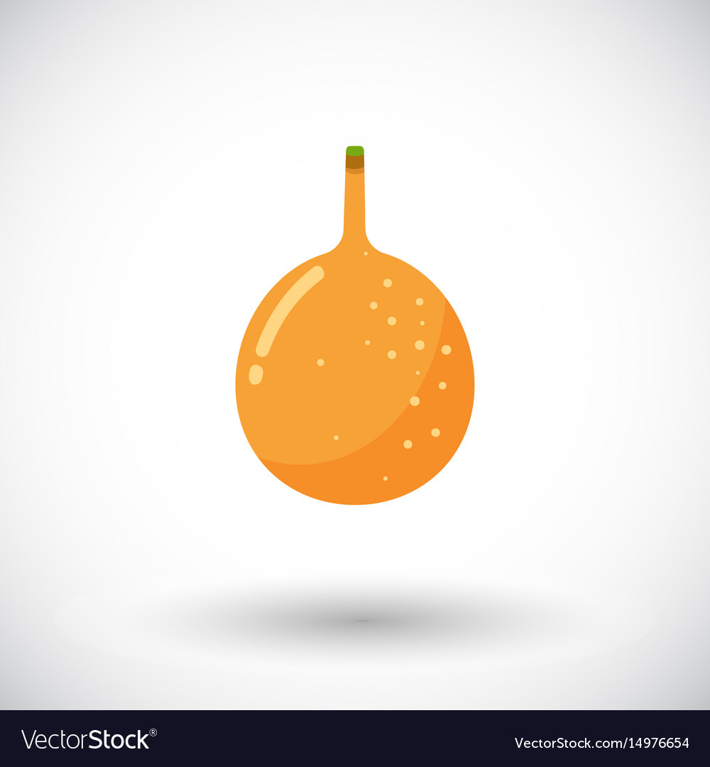 Granadilla flat icon with round shadow