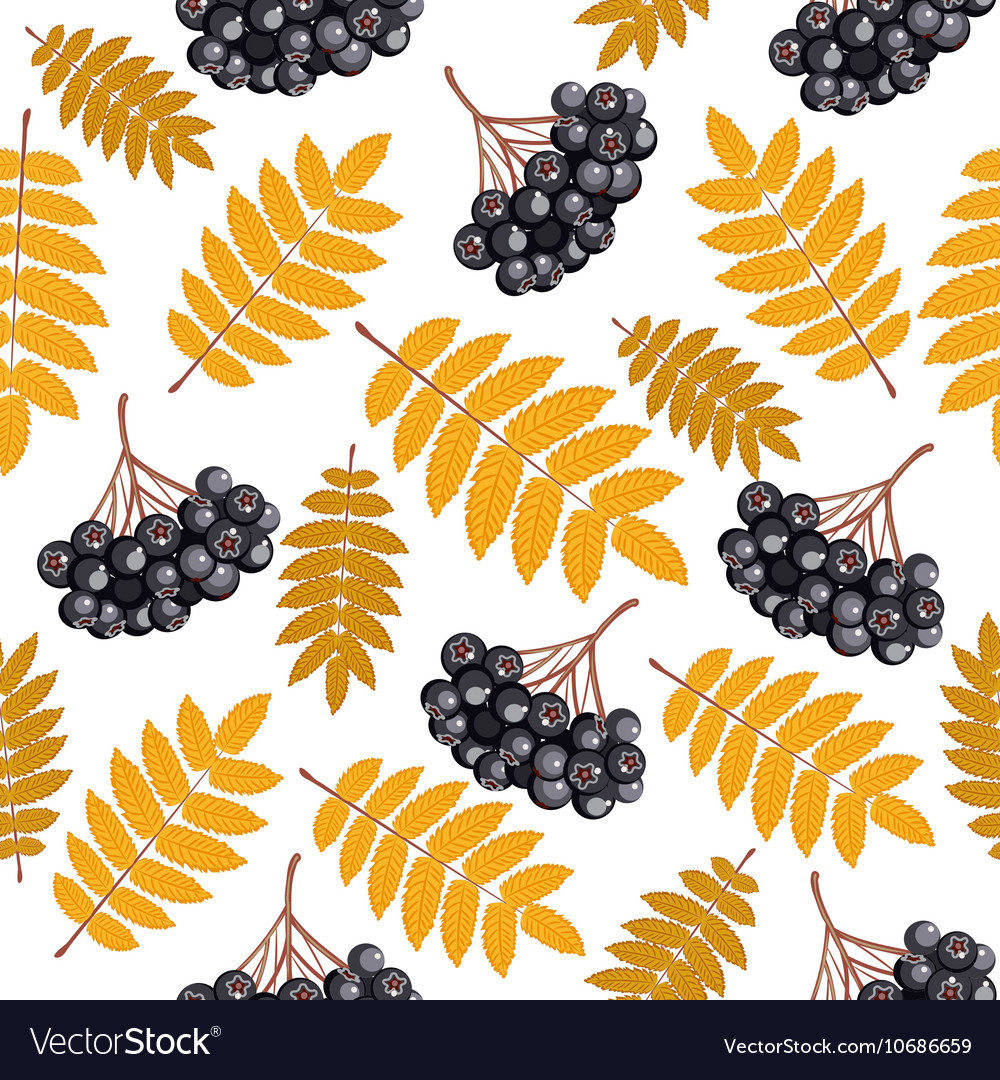 Autumn seamless pattern with rowan
