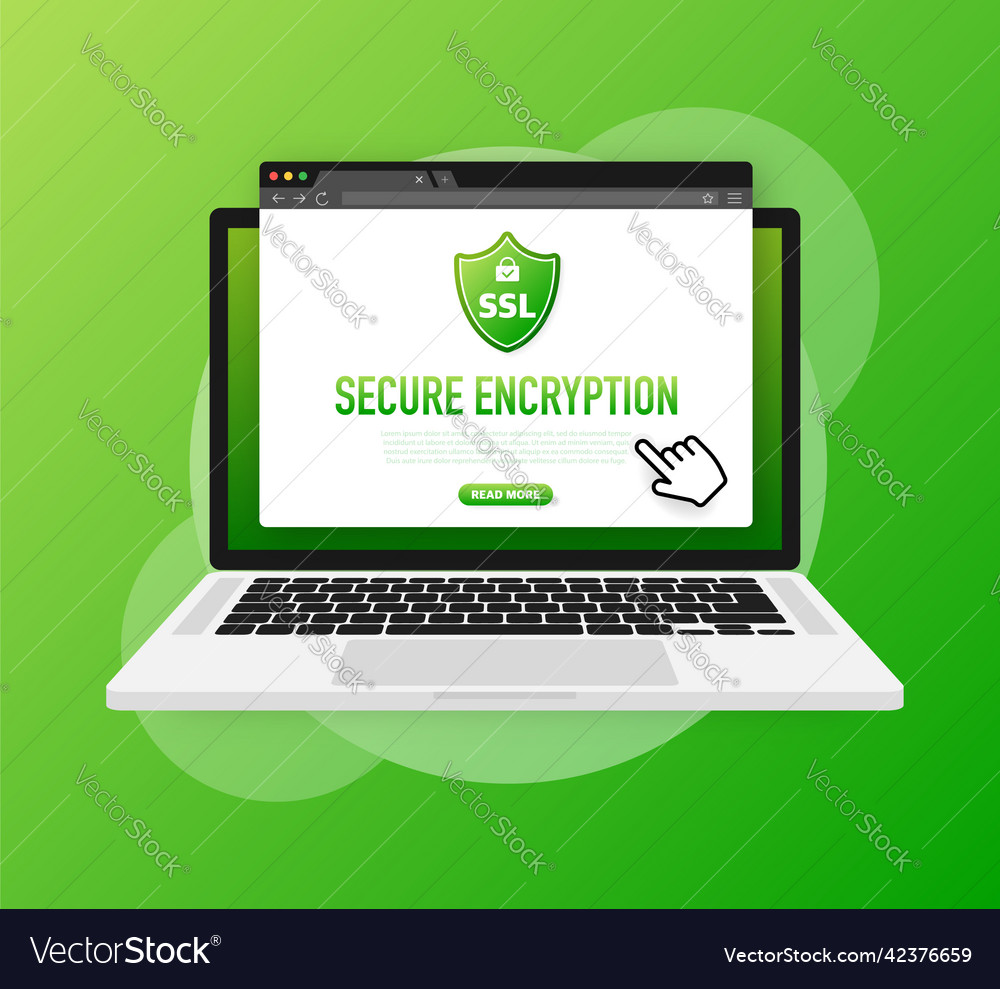 Secure connection icon vector image Secure connection icon