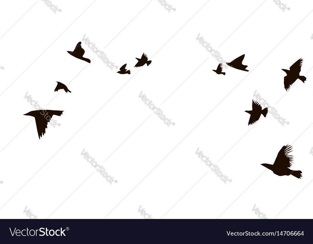 A flock of flying birds starlings