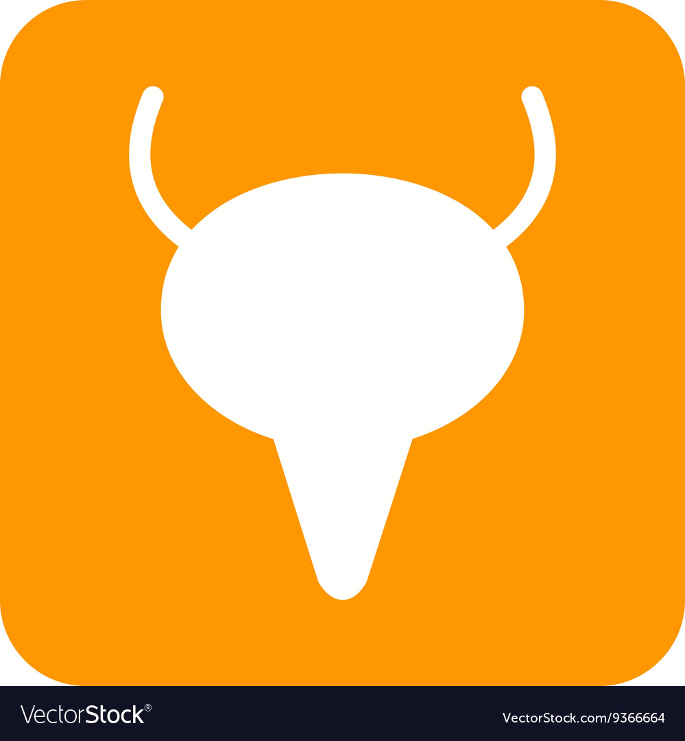 Bladder Royalty Free Vector Image - VectorStock