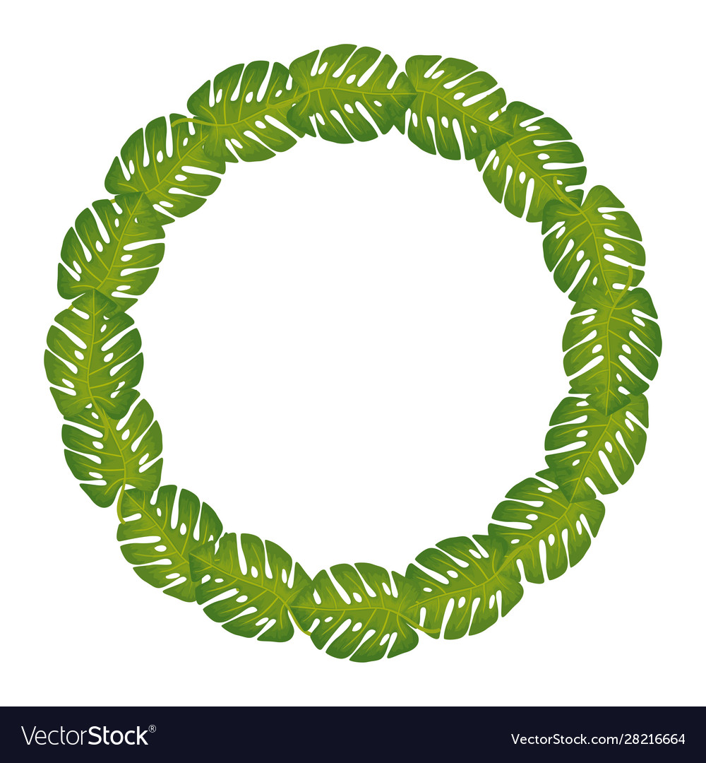 Frame circular leafs nature isolated icon