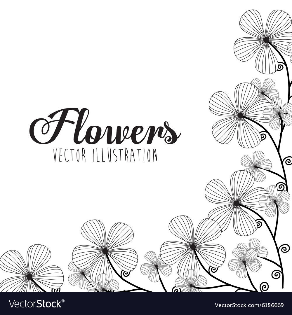 Black and white floral design