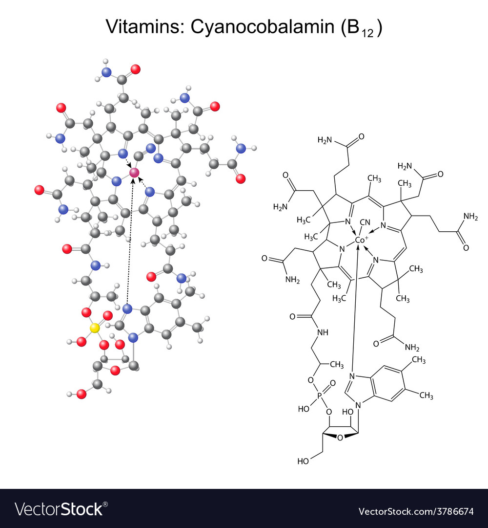 Chemical formula and model vitamin b12 Royalty Free Vector