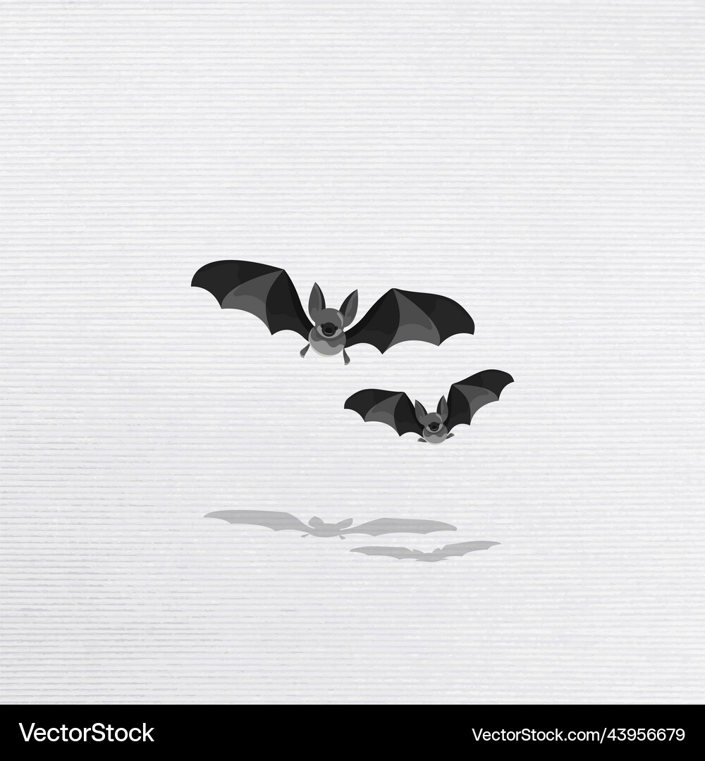 Bat elements on a white background Royalty Free Vector Image
