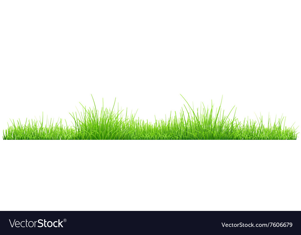 Green grass Royalty Free Vector Image - VectorStock