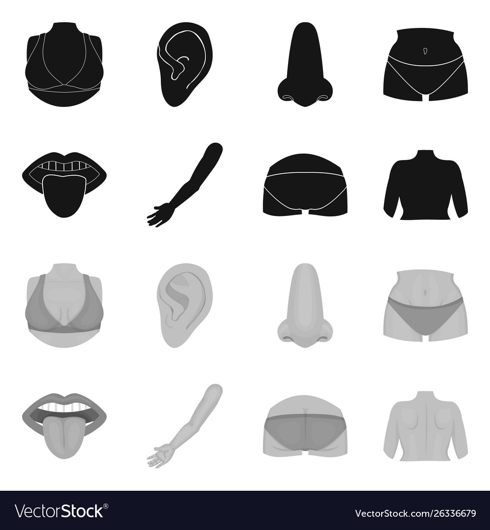 Isolated object body and part symbol set vector image Isolated object body and part symbol set