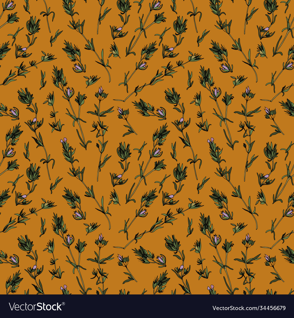 Thyme herbal seamless pattern