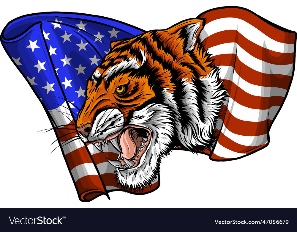 Tiger head and american Royalty Free Vector Image