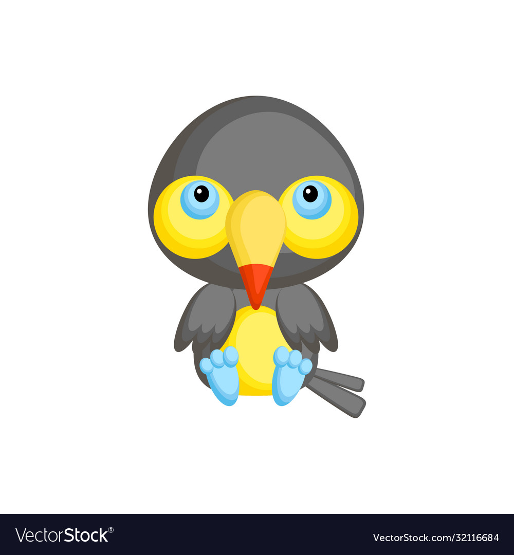 Cute baby toucan sitting isolated on white Vector Image