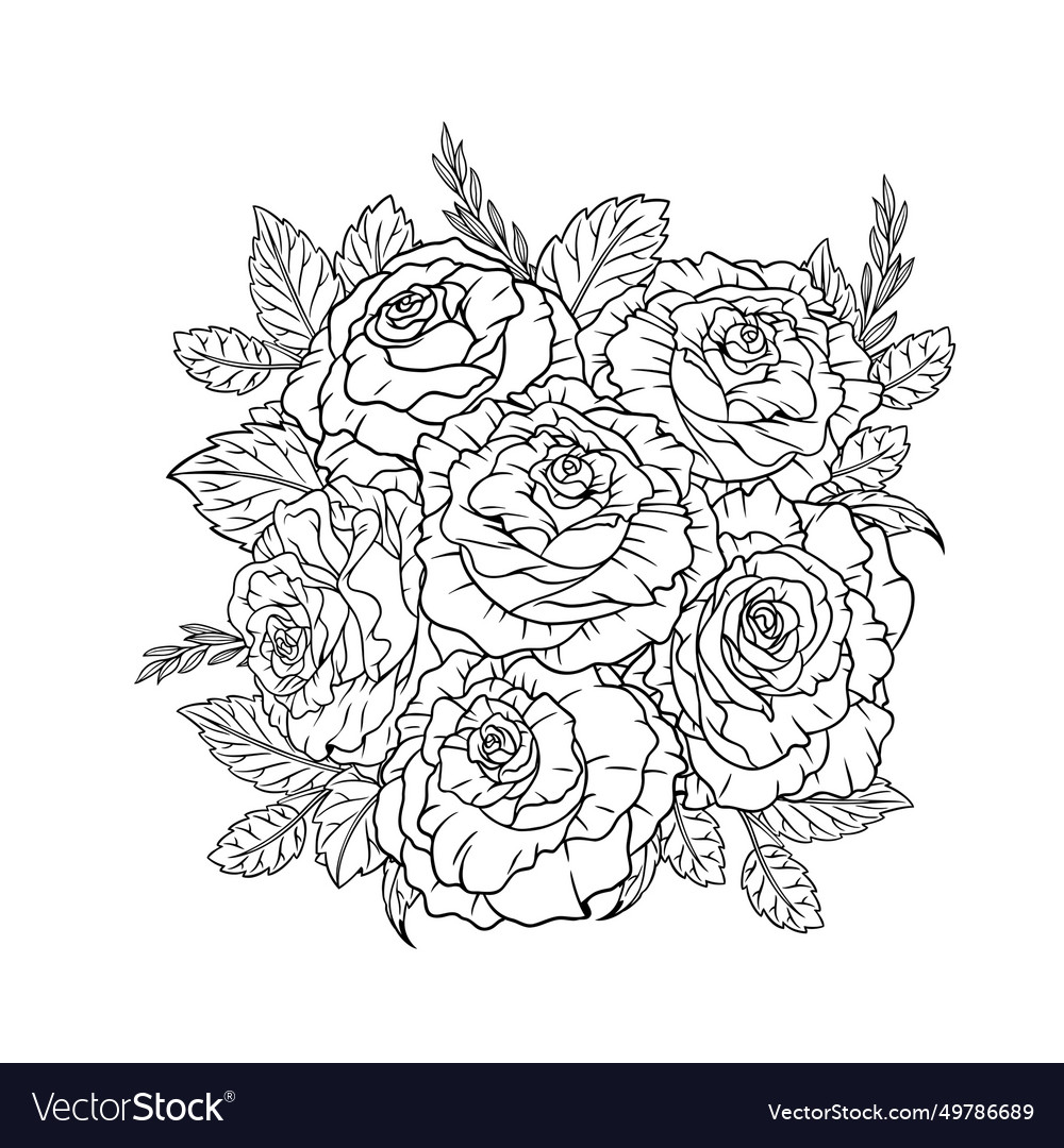 Bouquet of rose hand drawn lineart Royalty Free Vector Image