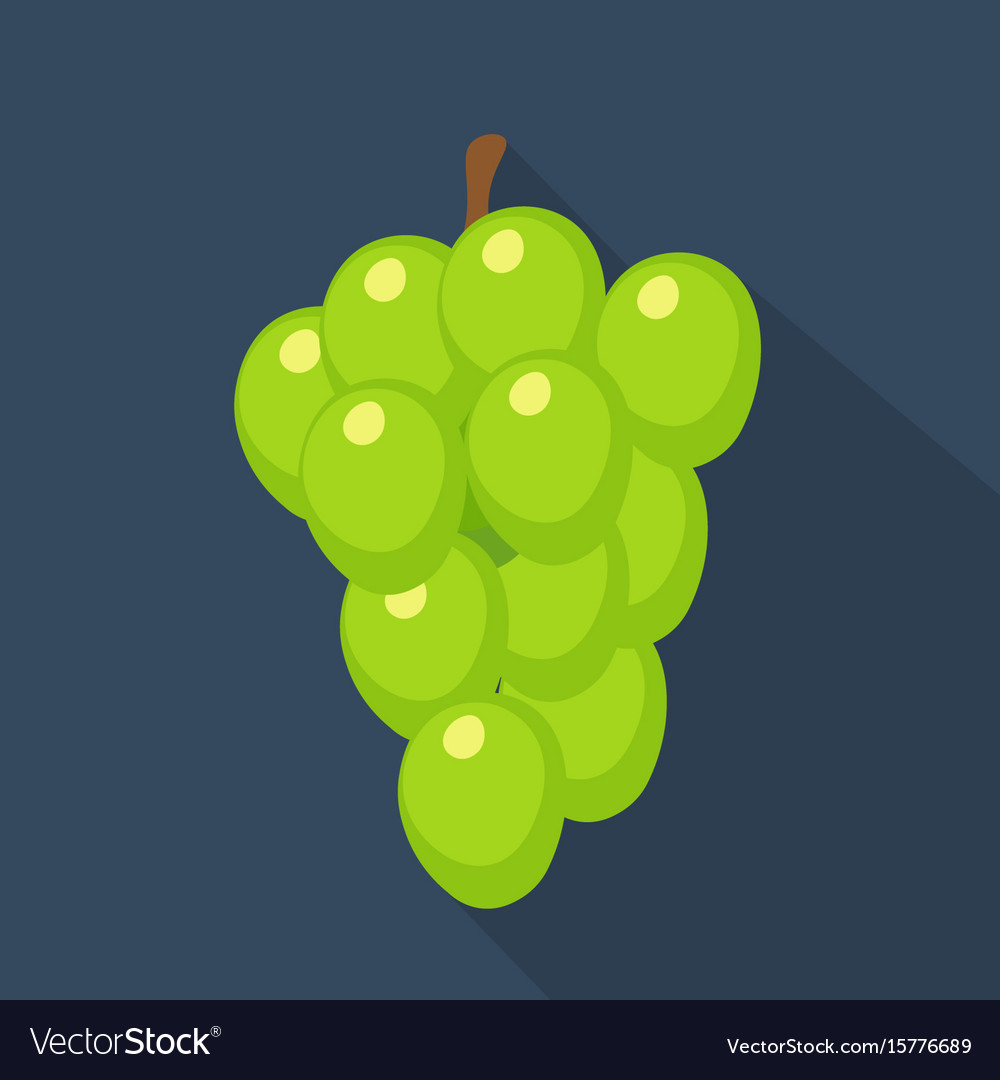 Grapes cartoon flat icondark blue background