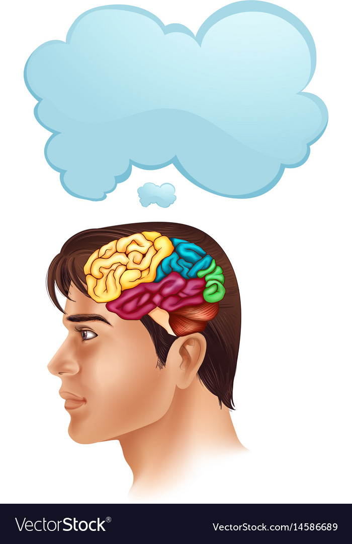 Man with brain diagram and speech bubble