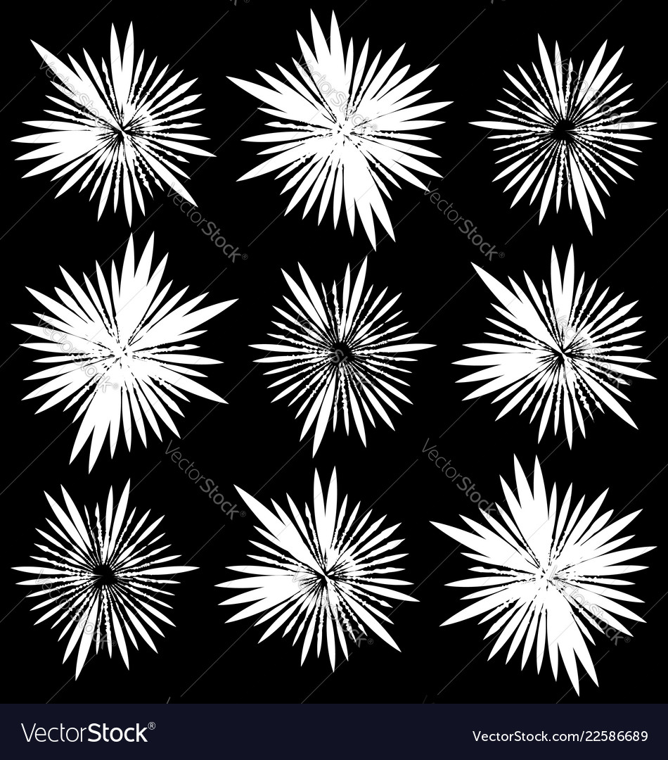 Set of 9 different element with random radial Vector Image Set of 9 different element with random radial