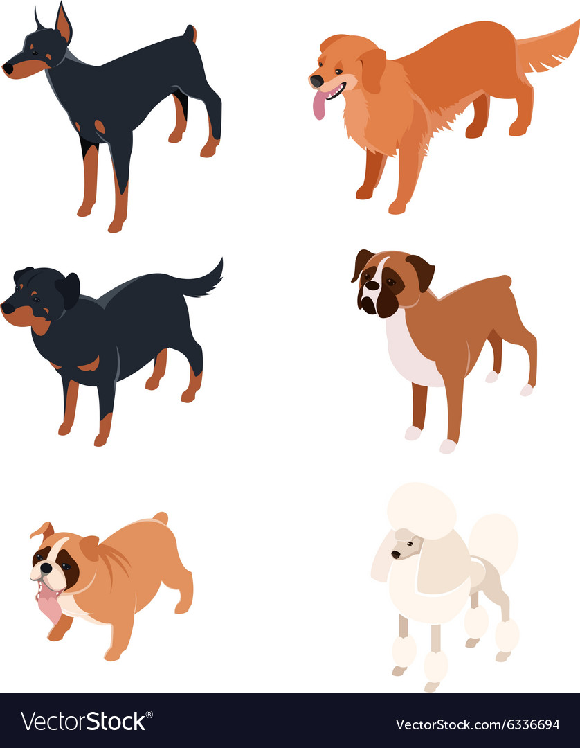 Collection isometric dogs1 Royalty Free Vector Image