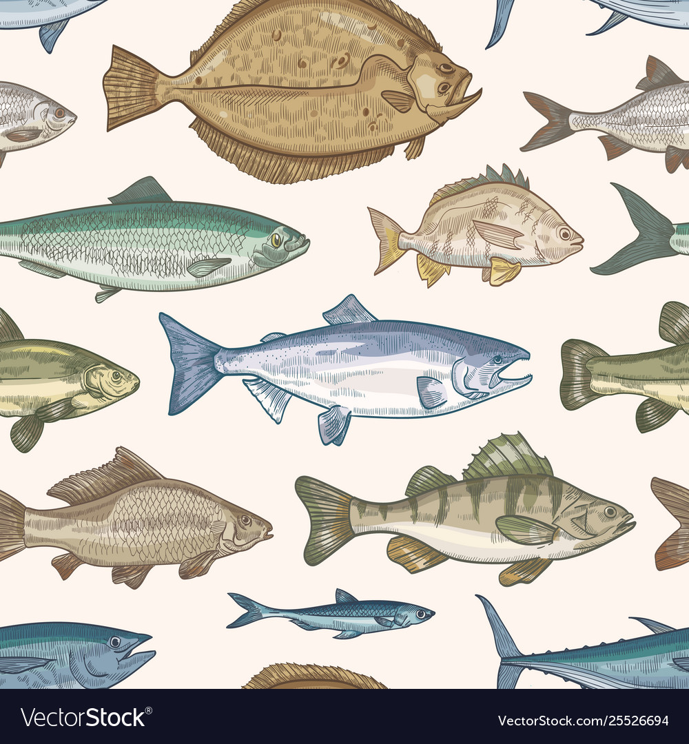 Elegant Fish Pattern