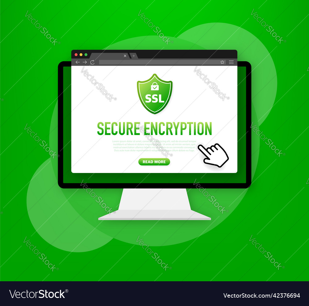 Secure connection icon Vector Image Secure connection icon