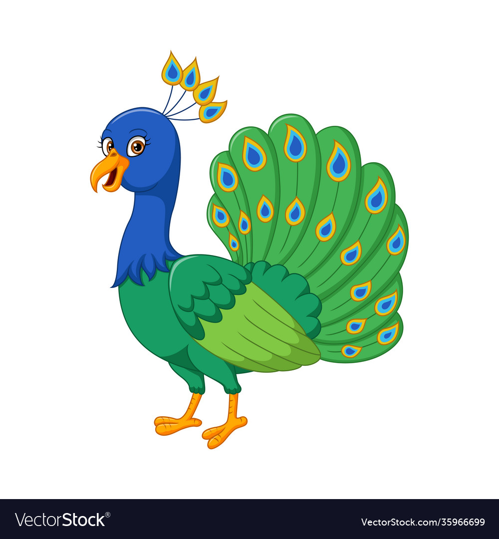 Cartoon happy peacock on white background