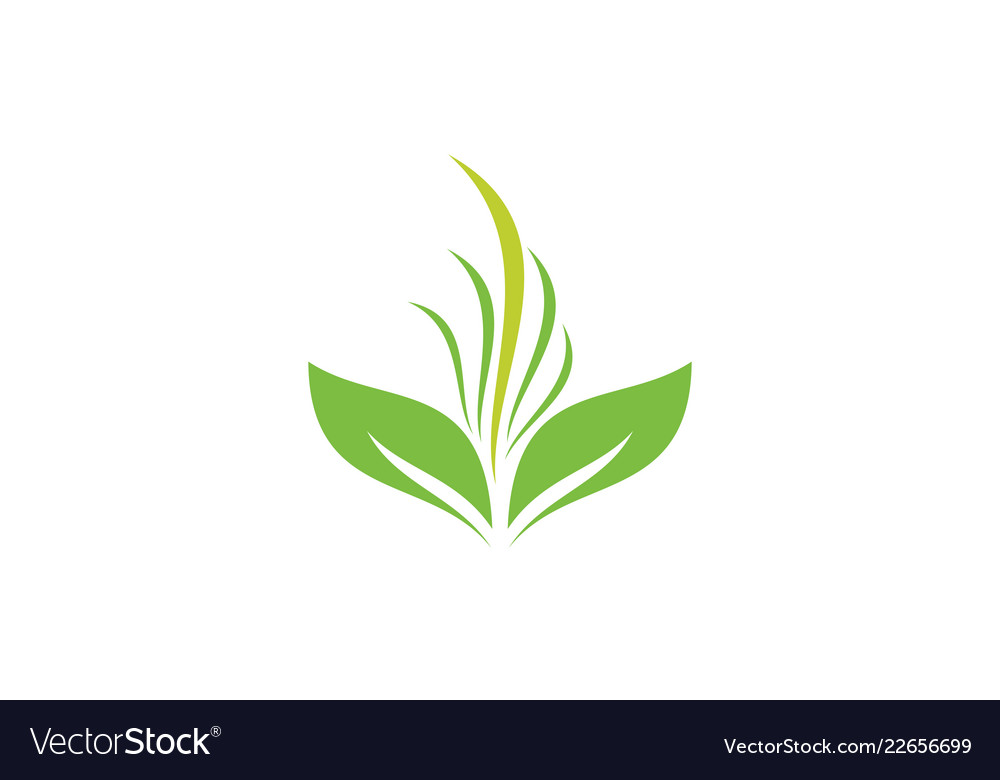 Green leaf logo