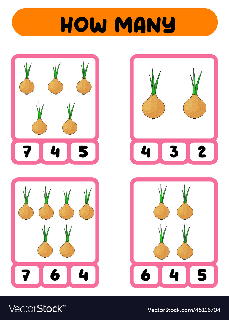 Count how many onions write down the answer Vector Image Count how many onions write down the answer