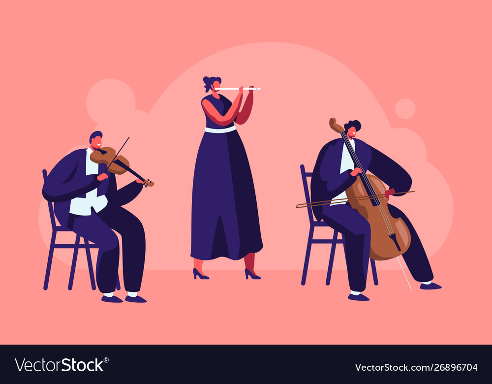 Musicians with instruments perform on stage Vector Image