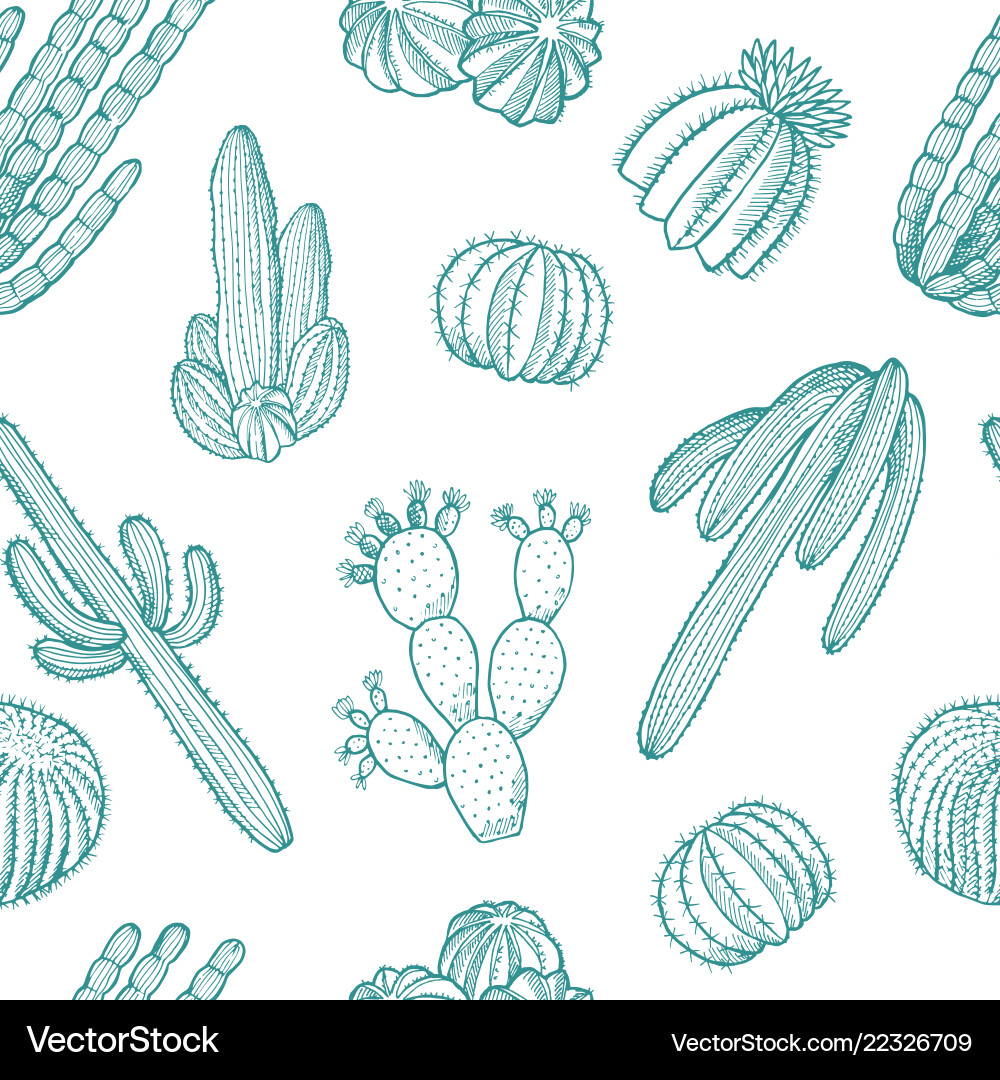 Hand drawn wild cacti plants pattern Royalty Free Vector