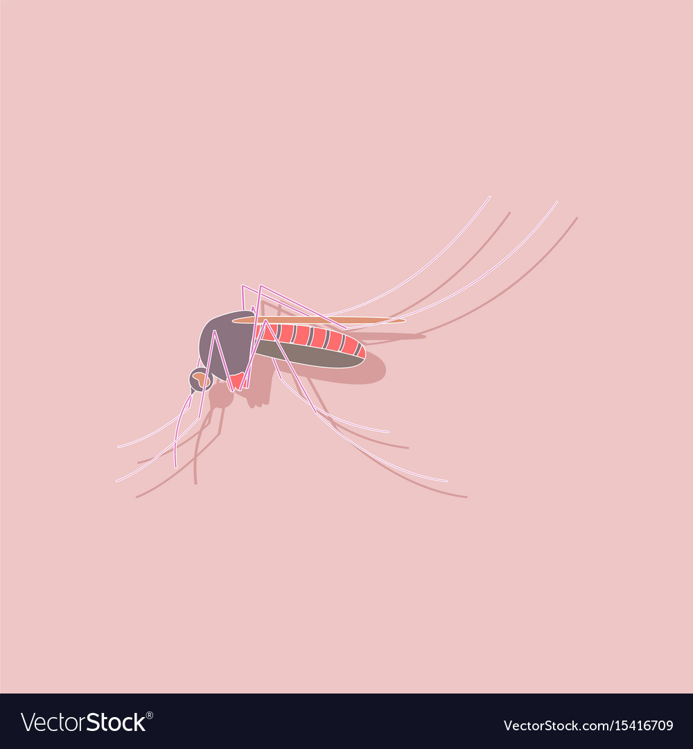 Paper sticker on background of mosquito