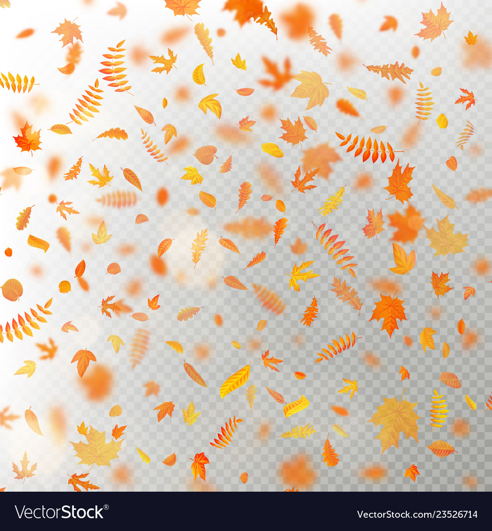 Effect of autumn falling leaves layer with shallow vector image Effect of autumn falling leaves layer with shallow