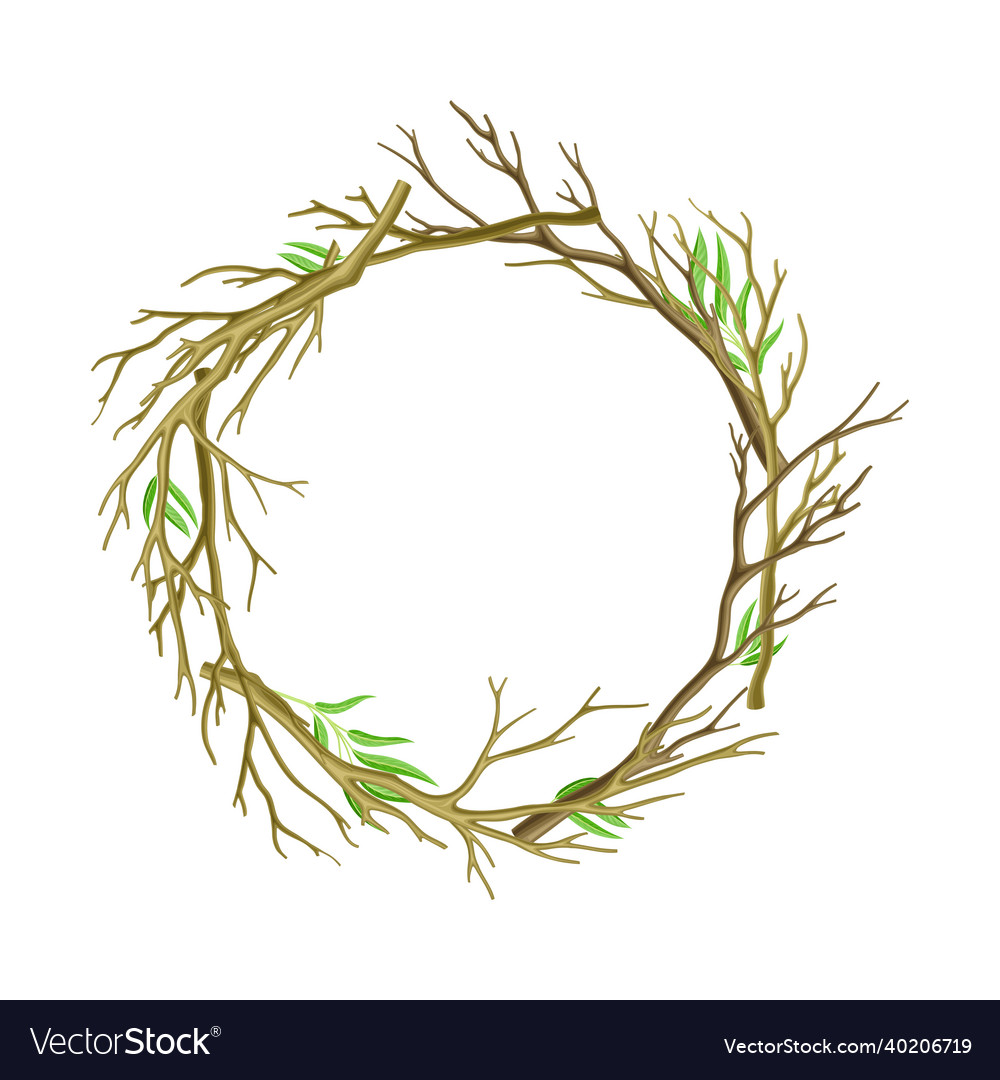 Bare tree branch entangled in round wreath vector image Bare tree branch entangled in round wreath