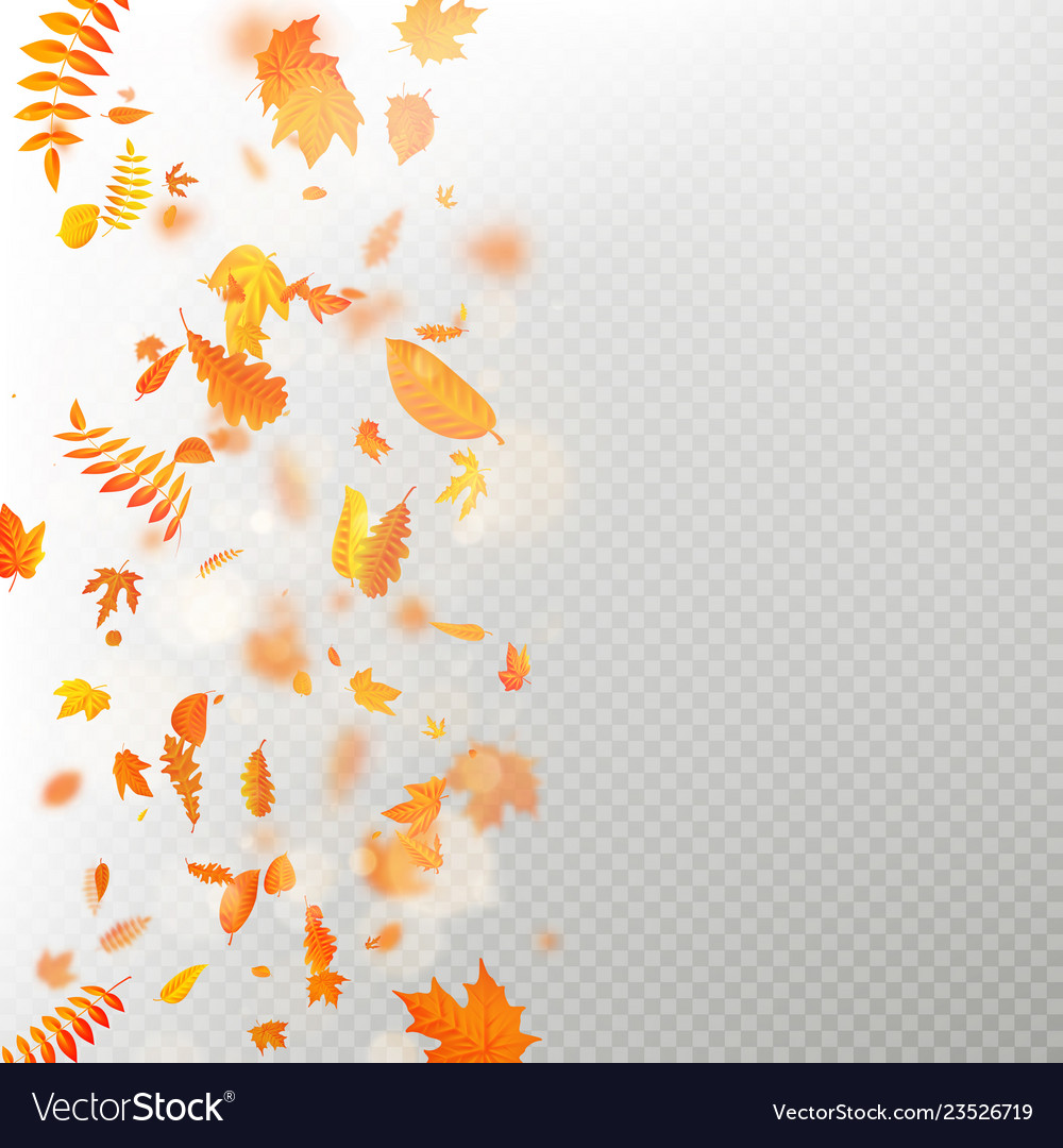 Effect of autumn falling leaves layer with shallow vector image Effect of autumn falling leaves layer with shallow
