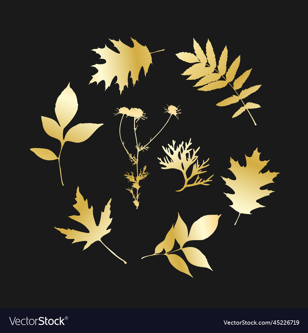 Gold leaves isolated round set leave Royalty Free Vector