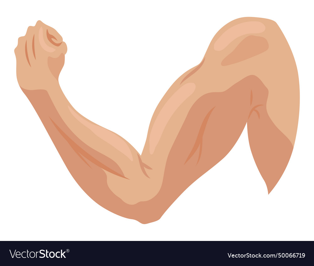 Male biceps muscles icons set sportsman arm