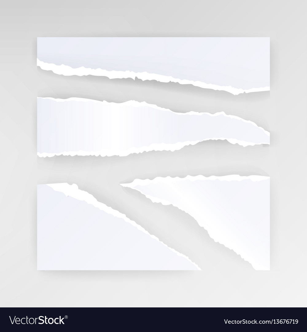 Torn paper blank set of different shapes vector image Torn paper blank set of different shapes