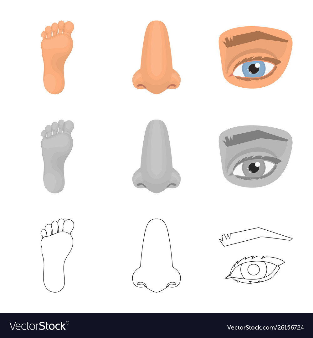 Isolated object body and part logo collection vector image Isolated object body and part logo collection