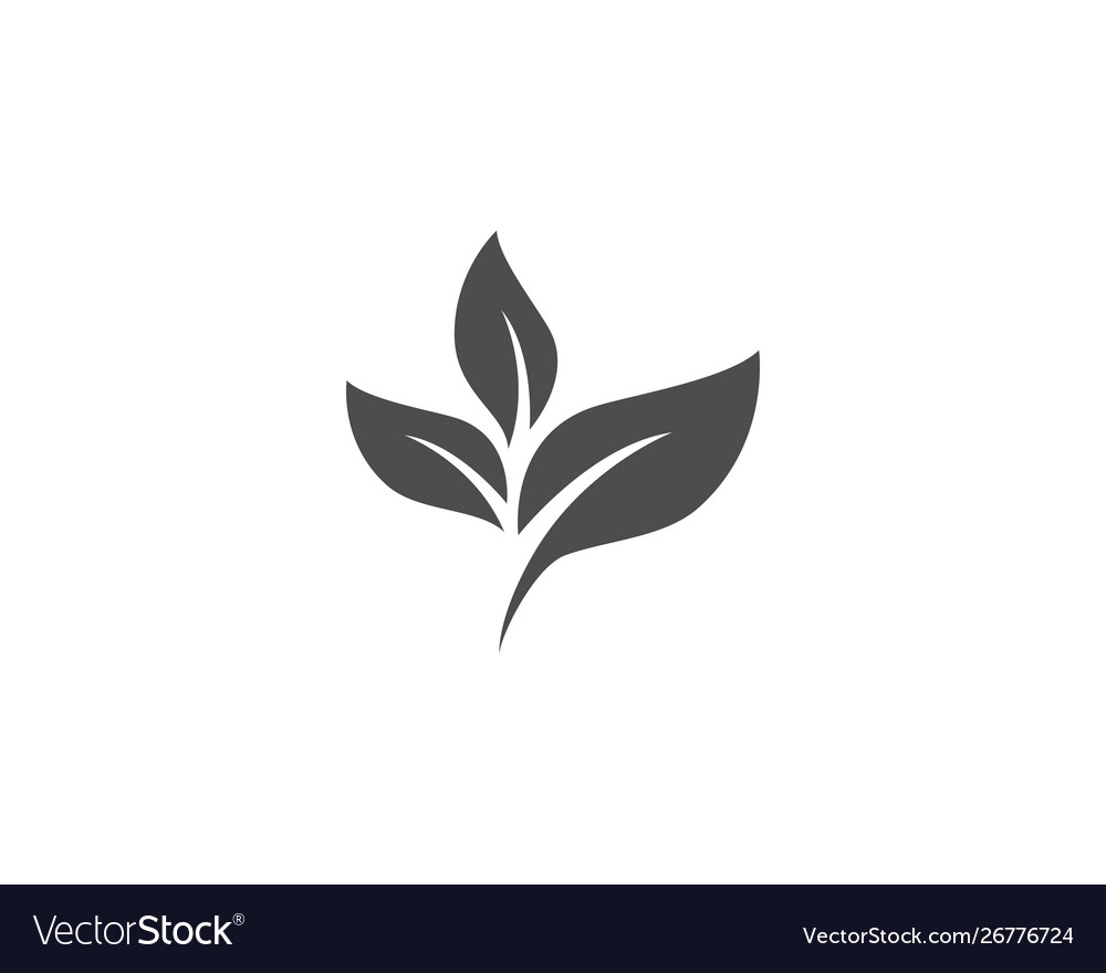 Leaf logo Royalty Free Vector Image - VectorStock