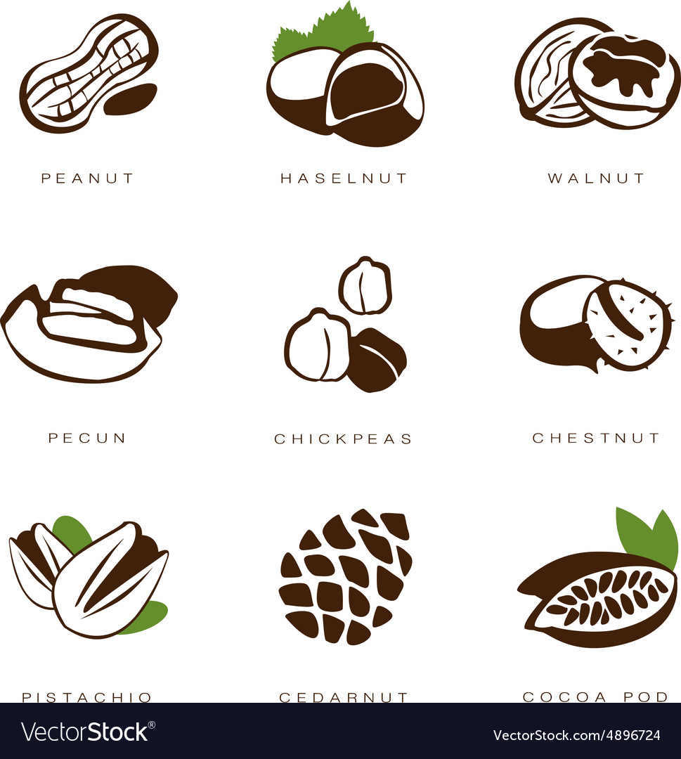 Nut Collection Icons
