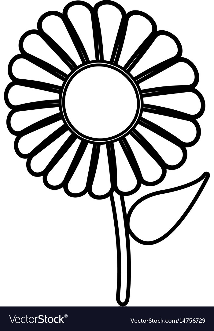 Download Beautiful single daisy flower outline Royalty Free Vector