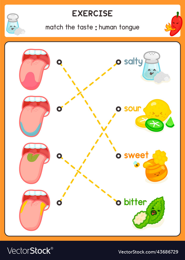 Draw a line matching the words and picture vector image Draw a line matching the words and picture