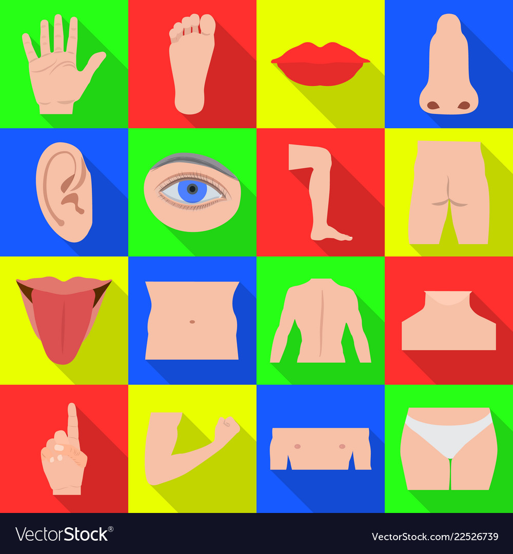 Design of human and part icon set vector image Design of human and part icon set