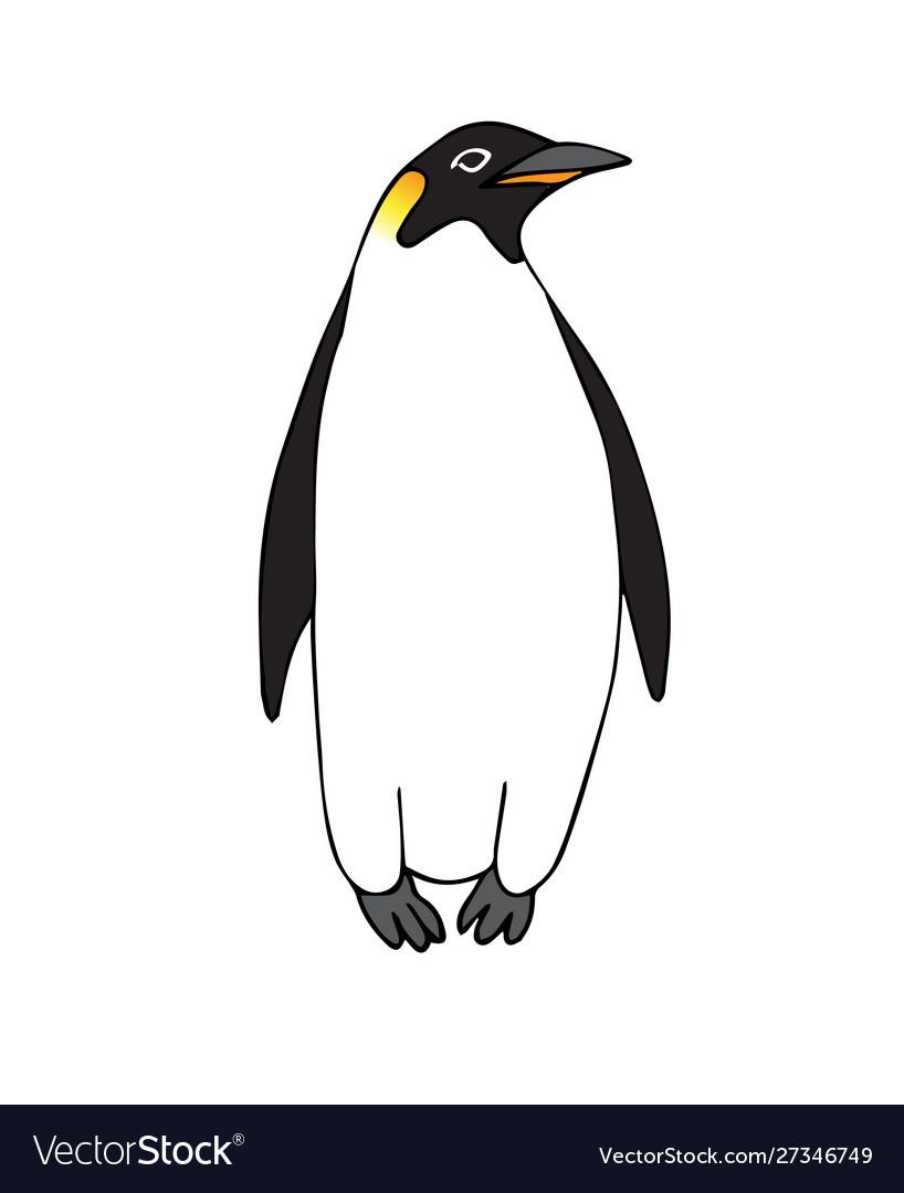 Hand drawn doodle sketch emperor penguin Vector Image