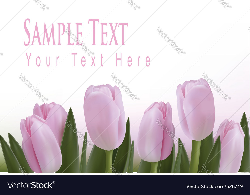 Tulips background Royalty Free Vector Image - VectorStock